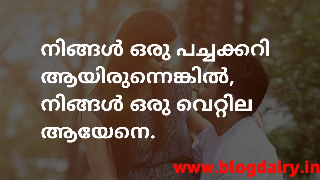 65+ MALAYALAM PICK UP LINES