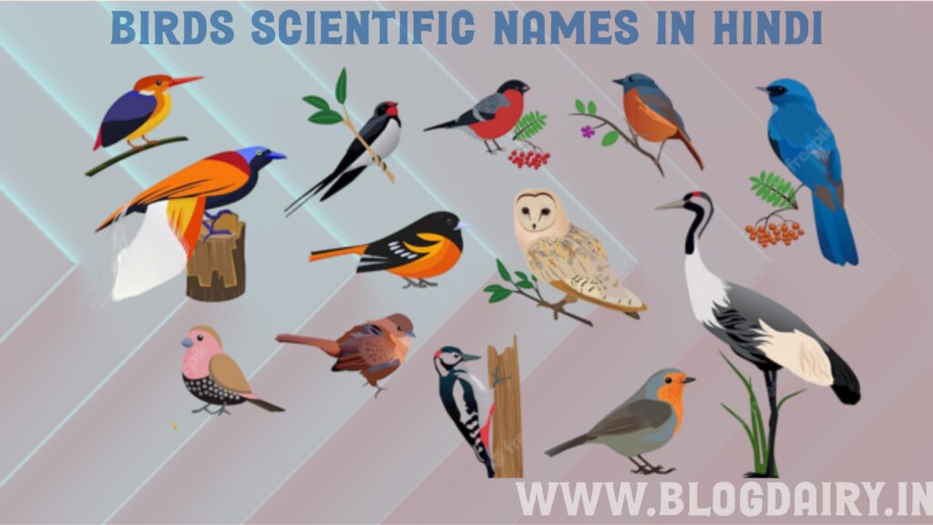 Birds Scientific Names In HindI