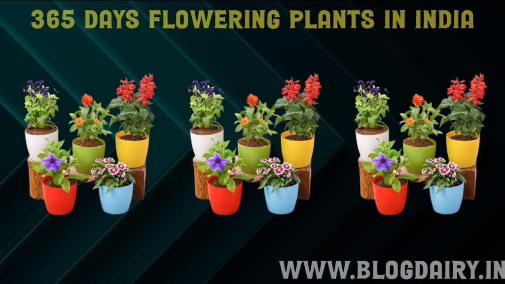 365 Days Flowering Plants In India