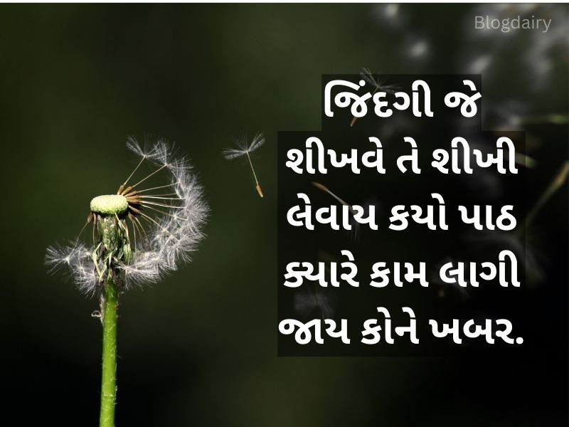 250+ એક લાઇન કોટ્સ ગુજરાતી One Line Quotes in Gujarati Text | Shayari