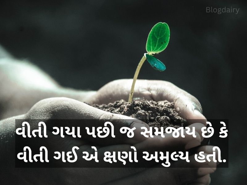 250+ એક લાઇન કોટ્સ ગુજરાતી One Line Quotes in Gujarati Text | Shayari