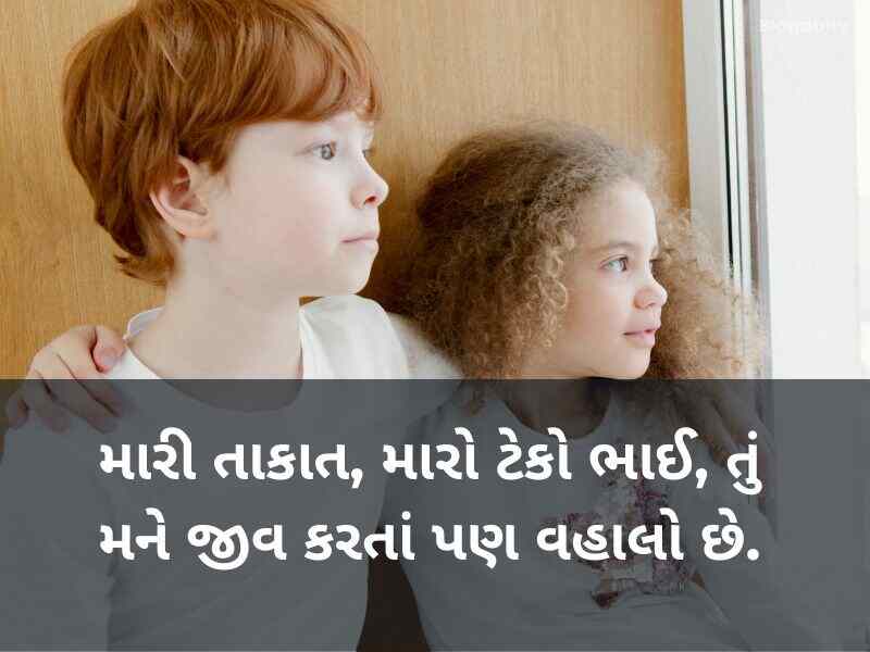60+ ભાઈ માટે કોટ્સ ગુજરાતી Brother Quotes in Gujarati Text | Shayari | Wishes