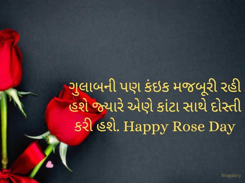 100+ રોસ ડે શુભેચ્છા Rose Day Wishes in Gujarati