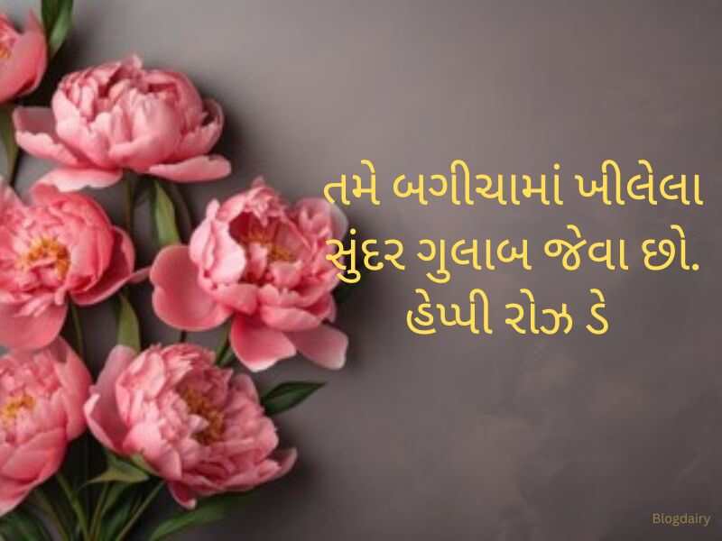 100+ રોસ ડે શુભેચ્છા Rose Day Wishes in Gujarati