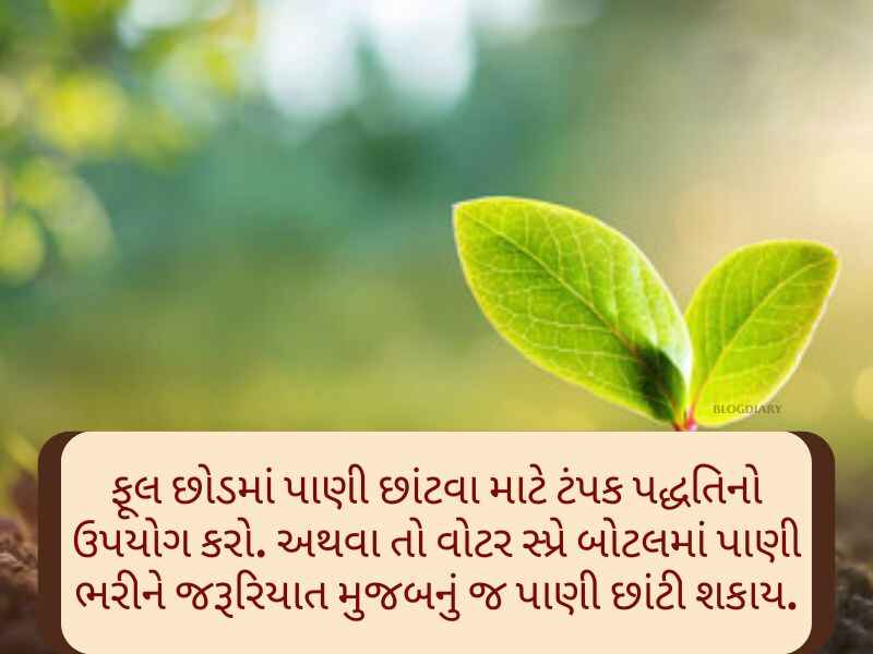 70+ Best પર્યાવરણ પર કોટ્સ Environment Quotes in Gujarati Text | Shayari | Wishes